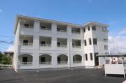 domus alba