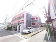 パインリーフ