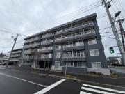ピュア26