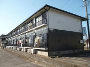 サンドール杉