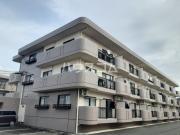 ベルドミール平戸橋1番館