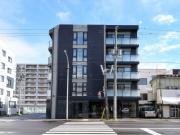 T′s COURT N28