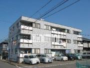 アーデルM