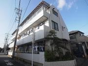 ライトピア