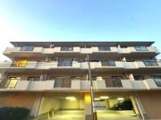 City House白壁