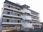 コーポラス和