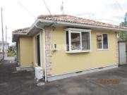 ニューパークVII