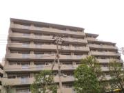 ＪＲ京浜東北・根岸線川口駅まで徒歩8分
