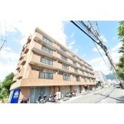 シロハイヌ吉田