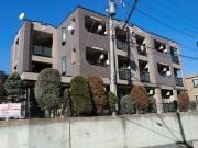 セレニーテ