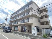 ソセイ末広