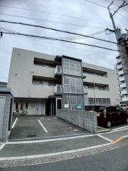 Feliz高石.