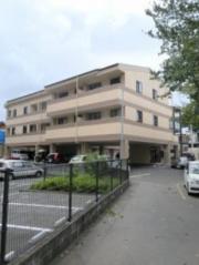 PEACE COURT