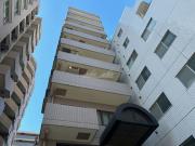 スカイノブレ川崎柳町