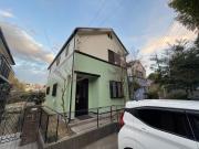 ナルキッソス百合ヶ丘