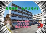 カサコモダ6