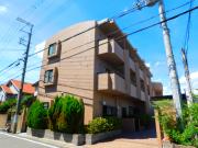 ピュアフォレスト