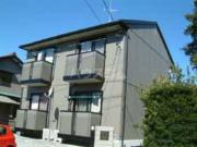 MaisonGeguSoleil Ami