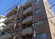 京王井の頭線高井戸駅まで徒歩5分