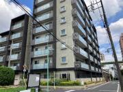 テラッツァ白壁