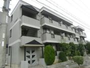 YF深阪1