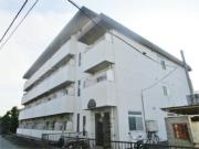 ドミトリー九沢