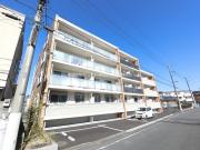 プランドール