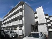ランプリ築山