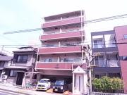 NOBSUN海岸通