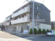 イルマーレ