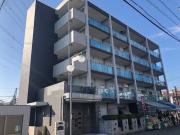 トラディシオン トゥール