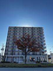 Alivis堺浜寺