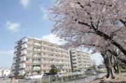 T-one MIYAHARA West B