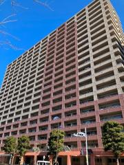 都営新宿線大島駅まで徒歩3分