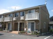 プリムローズ ベル A