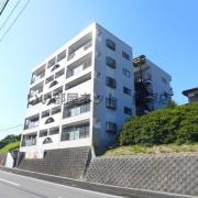 フィネスIII