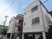 サードニックス