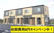 ローサ菊池野間口