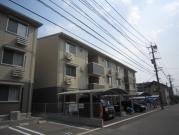 D-ROOMII