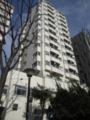 上層階角部屋 分譲賃貸 キャッスル新宿 K
