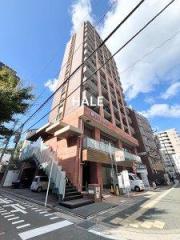 ルネッサンス21赤坂けやき通り