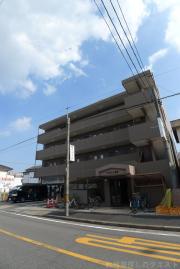 アルファ南分