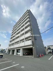 NS田迎