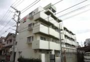 京成金町線柴又駅まで徒歩7分