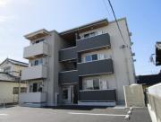 Radius V