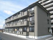シャルマン B