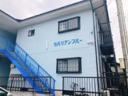 セルリアンブルー