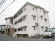ベージュ278