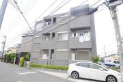クレステッド アイビス