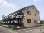 アンプルールリーブル彩美